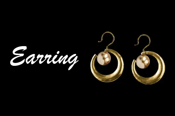 Earrings